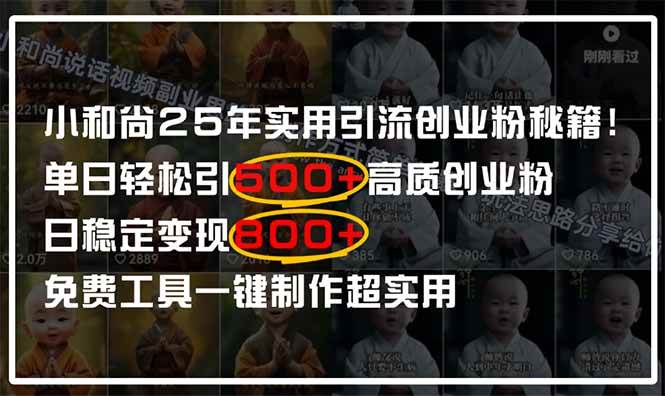（14436期）小和尚2025年实用引流秘籍！单日轻松引500+高质量创业粉，日变现800+，…-占领资源网