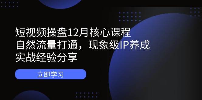 短视频操盘12月核心课程：自然流量打通，现象级IP养成，实战经验分享-占领资源网