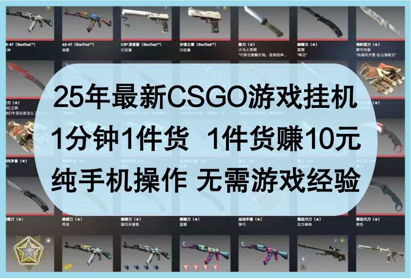 25年最新CSGO游戏挂机，1分钟1件货，1件货赚10元，纯手机操作，无需游戏经验-占领资源网