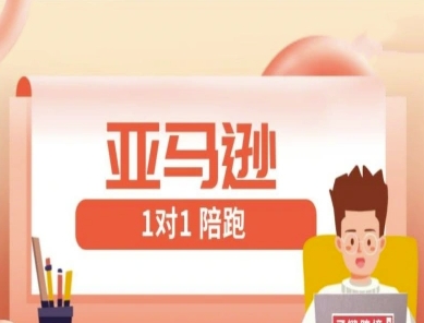 亚马逊1对1陪跑课(FBA/FBM精铺)跨境亚马逊教程-占领资源网