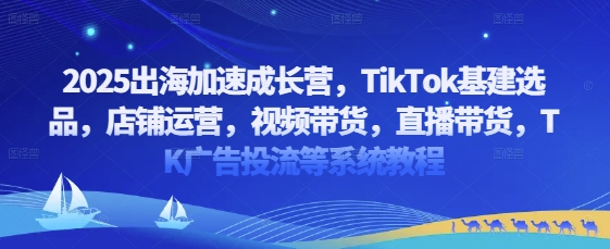 2025出海加速成长营，TikTok基建选品，店铺运营，视频带货，直播带货，TK广告投流等系统教程-占领资源网