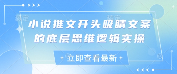 小说推文开头吸睛文案的底层思维逻辑实操-占领资源网