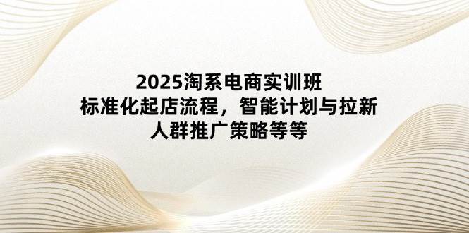 （14522期）2025淘系电商实训班：标准化起店流程，智能计划与拉新，人群推广策略等等-占领资源网