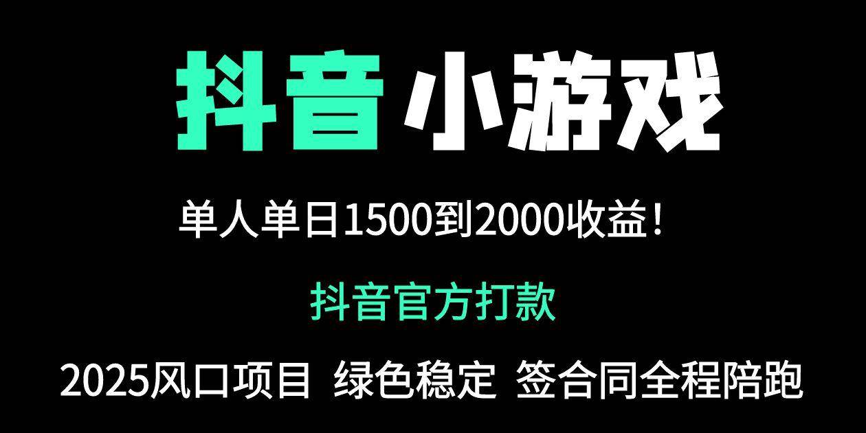 （14527期）抖音官方小游戏2025全网最新玩法，暴利赚钱项目，单机日入2000+，绝不…-占领资源网