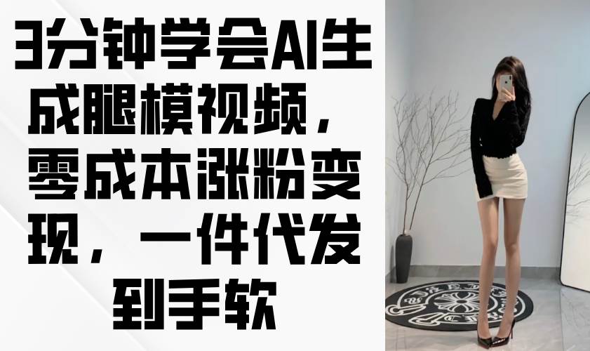 （14537期）3分钟学会AI生成腿模视频，零成本涨粉变现，一件代发到手软-占领资源网