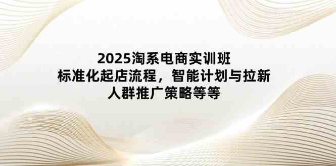2025淘系电商实训班：标准化起店流程，智能计划与拉新，人群推广策略等等-占领资源网