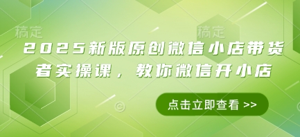 2025新版原创微信小店带货者实操课，教你微信开小店-占领资源网
