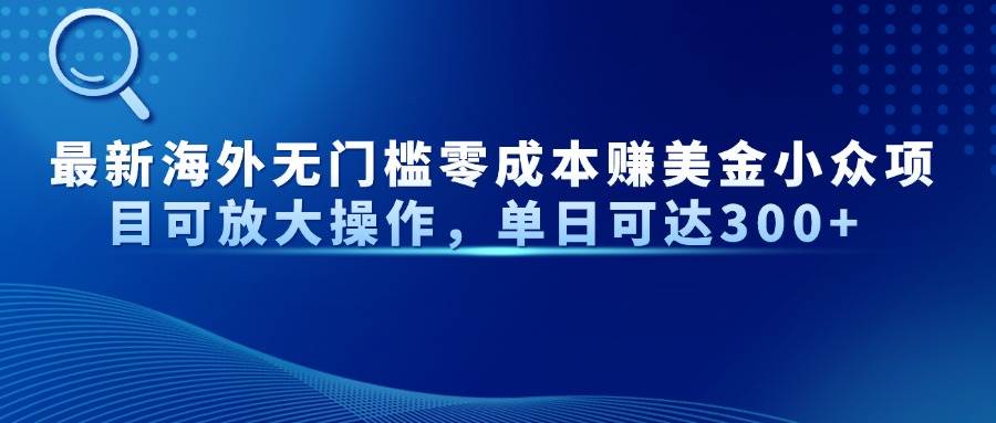 （14542期）最新海外无门槛零成本赚美金小众项目可放大操作，单日可达300+-占领资源网
