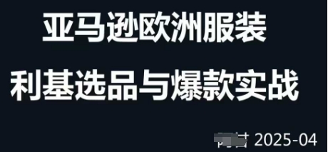 跨境电商选品案例24-25年，聚焦跨境电商选品策略与运营优化，助力卖家挖掘蓝海市场-占领资源网