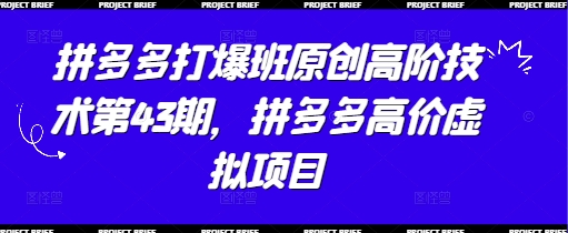 拼多多打爆班原创高阶技术第43期，拼多多高价虚拟项目-占领资源网