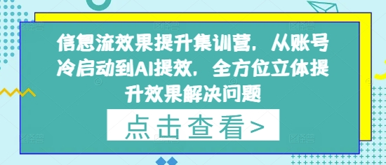 信息流效果提升集训营，从账号冷启动到AI提效，全方位立体提升效果解决问题-占领资源网