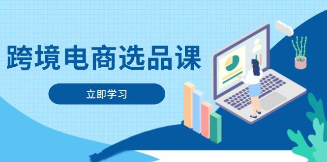 （14547期）跨境电商选品课：涵盖电动滑板车、健康医疗、电子游戏、厨房用品、宠物等-占领资源网