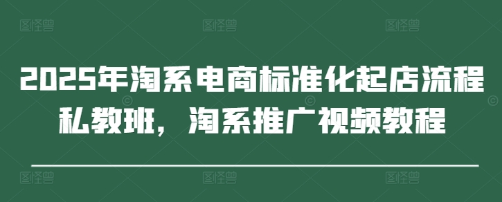 2025年淘系电商标准化起店流程私教班，淘系推广视频教程-占领资源网
