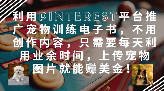 利用Pinterest平台推广宠物训练电子书，不用创作内容，只需要每天利用业余时间，上传宠物图片就能挣美金!-占领资源网
