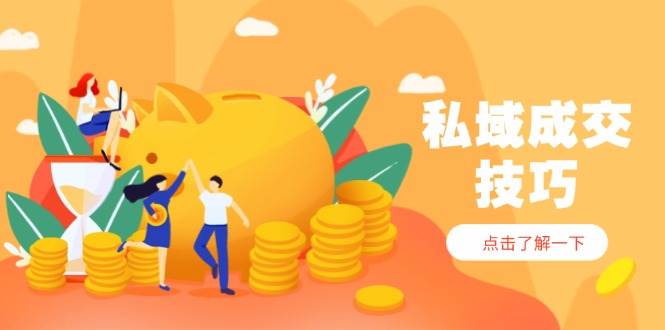 私域成交技巧，帮你从入门到精通，破解四大痛点，快速变现，轻松收钱-占领资源网