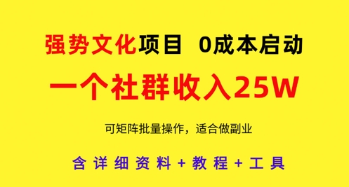 强势文化项目，一个社群收入25个W，0成本启动，可矩阵批量操作，原创详细实操教程-占领资源网