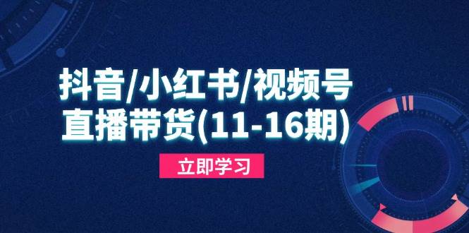 （14611期）抖音/小红书/视频号/直播带货(11-16期)，快速掌握平台规则，打造爆款内容-占领资源网