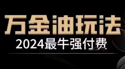 2024最牛强付费，万金油强付费玩法，干货满满，全程实操起飞（更新25年04月）-占领资源网