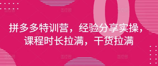 拼多多特训营，经验分享实操，课程时长拉满，干货拉满(更新25年4月)-占领资源网