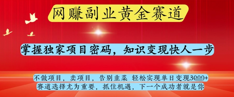 网创副业黄全赛道，掌握独家项目密码，知识变现快人一步，告别韭菜轻松实现单日变现1k+【揭秘】-占领资源网
