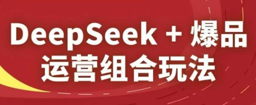 DeepSeek+爆品运营组合玩法，2025淘系精品课-占领资源网