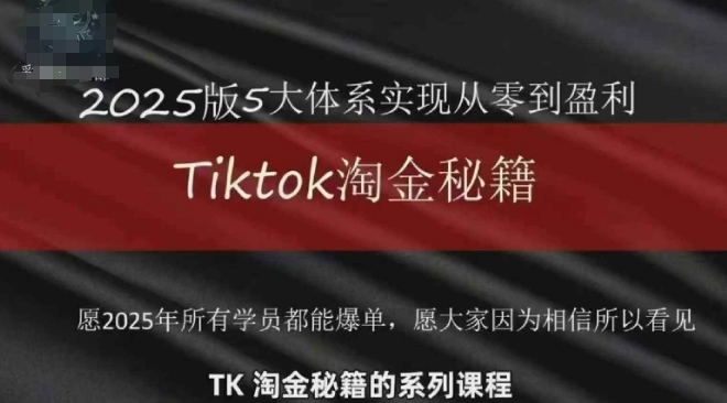 TikTok跨境2025淘金秘籍，​2025TikTok从0到盈利变现-占领资源网