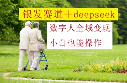 银发赛道+deepseek数字人全域变现，小白也能操作-占领资源网