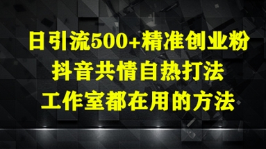 日引流500+精准创业粉，抖音共情自热打法，工作室都在用的方法-占领资源网