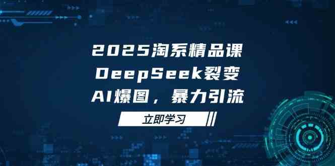 2025无界精品课，DeepSeek裂变，AI爆图，暴力引流助力淘系运营-占领资源网