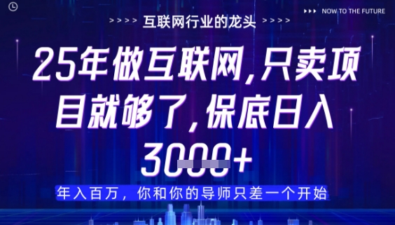 什么！25年你还在找项目做？风口早就变了，卖项目才是稳挣不赔【揭秘】-占领资源网