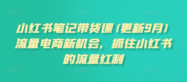 小红书笔记带货课(更新25年4月)流量电商新机会，抓住小红书的流量红利-占领资源网