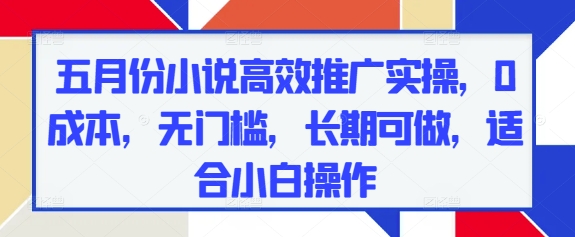 五月份小说高效推广实操，0成本，无门槛，长期可做，适合小白操作-占领资源网