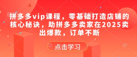 拼多多vip课程，零基础打造店铺的核心秘诀，助拼多多卖家在2025卖出爆款，订单不断-占领资源网
