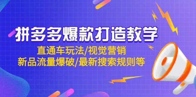 （14681期）拼多多爆款打造教学：直通车玩法/视觉营销/新品流量爆破/最新搜索规则等-占领资源网