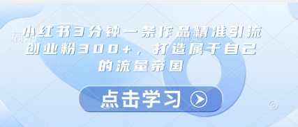 小红书3分钟一条作品精准引流创业粉300+，打造属于自己的流量帝国-占领资源网