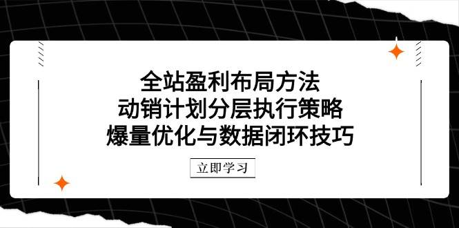 （14698期）全站盈利布局方法：动销计划分层执行策略，爆量优化与数据闭环技巧-占领资源网