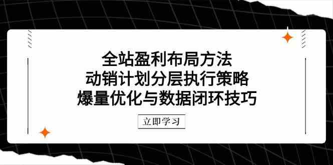 全站盈利布局方法：动销计划分层执行策略，爆量优化与数据闭环技巧-占领资源网