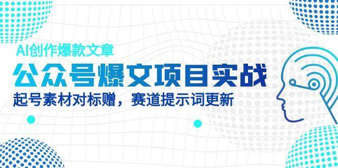 （14709期）公众号爆文项目实战，AI创作爆款文章，起号素材对标赠（附赛道AI提示词）-占领资源网