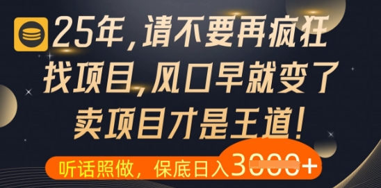 什么？25年你还在疯狂找项目做，醒醒吧，看完这些你全都懂了【揭秘】-占领资源网