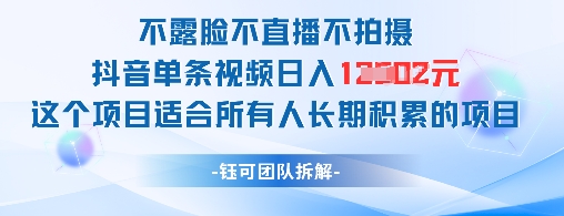 不露脸不直播不拍摄抖音单条视频日入1k+这个项目适合所有人长期积累的项目-占领资源网