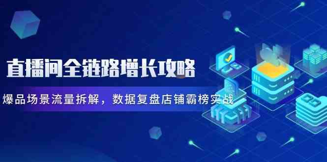 直播间全链路增长攻略，爆品场景流量拆解，数据复盘店铺霸榜实战-占领资源网