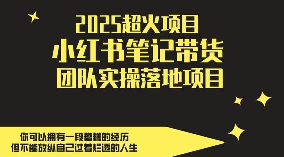 2025超火项目，副业最佳选择，小红书笔记带货团队实操落地项目，，轻松日入5张-占领资源网