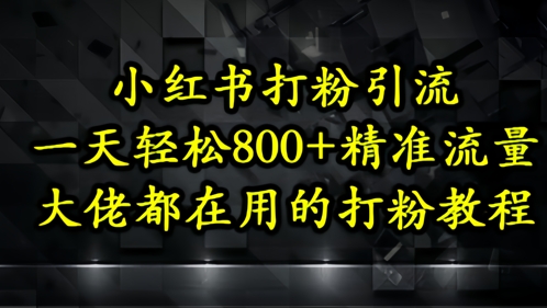 小红书打粉引流，一天轻松500+精准流量，大佬都在用的打粉教程-占领资源网