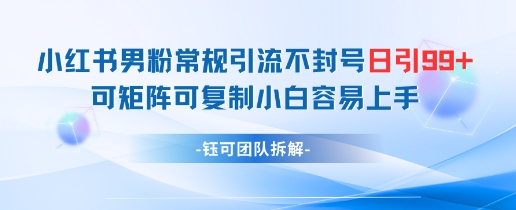 小红书男粉常规引流不封号日引99+变现简单 可矩阵可复制小白容易上手-占领资源网
