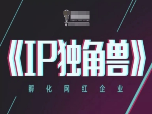 IP独角兽，孵化网红企业，ip教程-占领资源网
