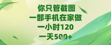 你只管截图，一部手机在家做，苹果安卓都可以，一天5张+【揭秘】-占领资源网