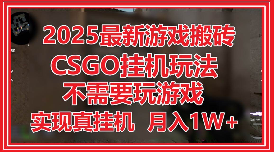 （14743期）2025最新游戏搬砖，CSGO挂机，不需要玩游戏，实现真挂机，月入1W+-占领资源网