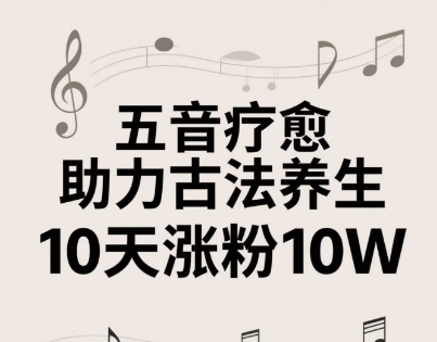 古法五音养生教程，五音疗愈的视频的制作方法，2-4小时就能学会，作者10天涨粉10W-占领资源网