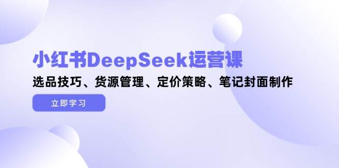 小红书DeepSeek运营课，选品技巧、货源管理、定价策略、笔记封面制作-占领资源网