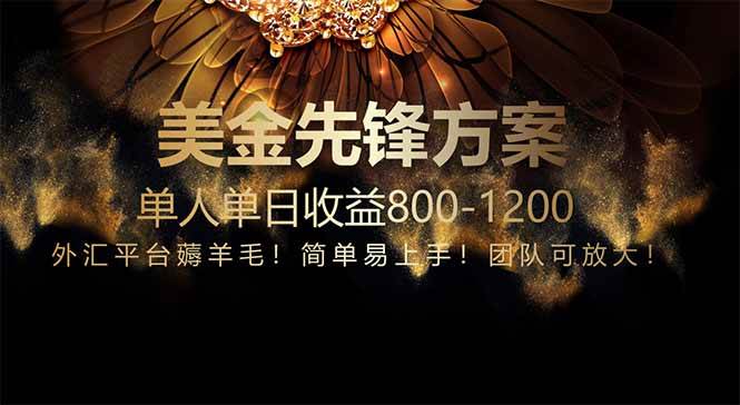 （14761期）免费技术！小众赛道！一年布局抵三年努力，每日800+-占领资源网
